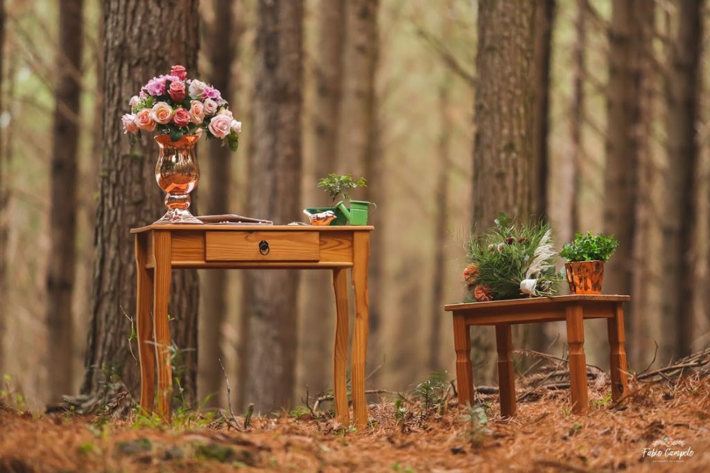 Renovação de votos - bodas de madeira - na floresta