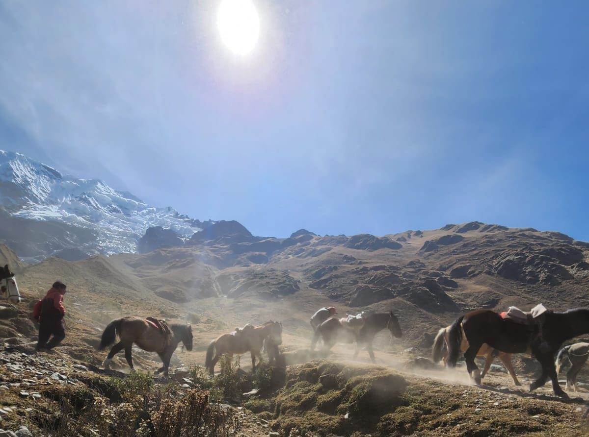 Cavalos descem a Montanha Humantay, Cusco