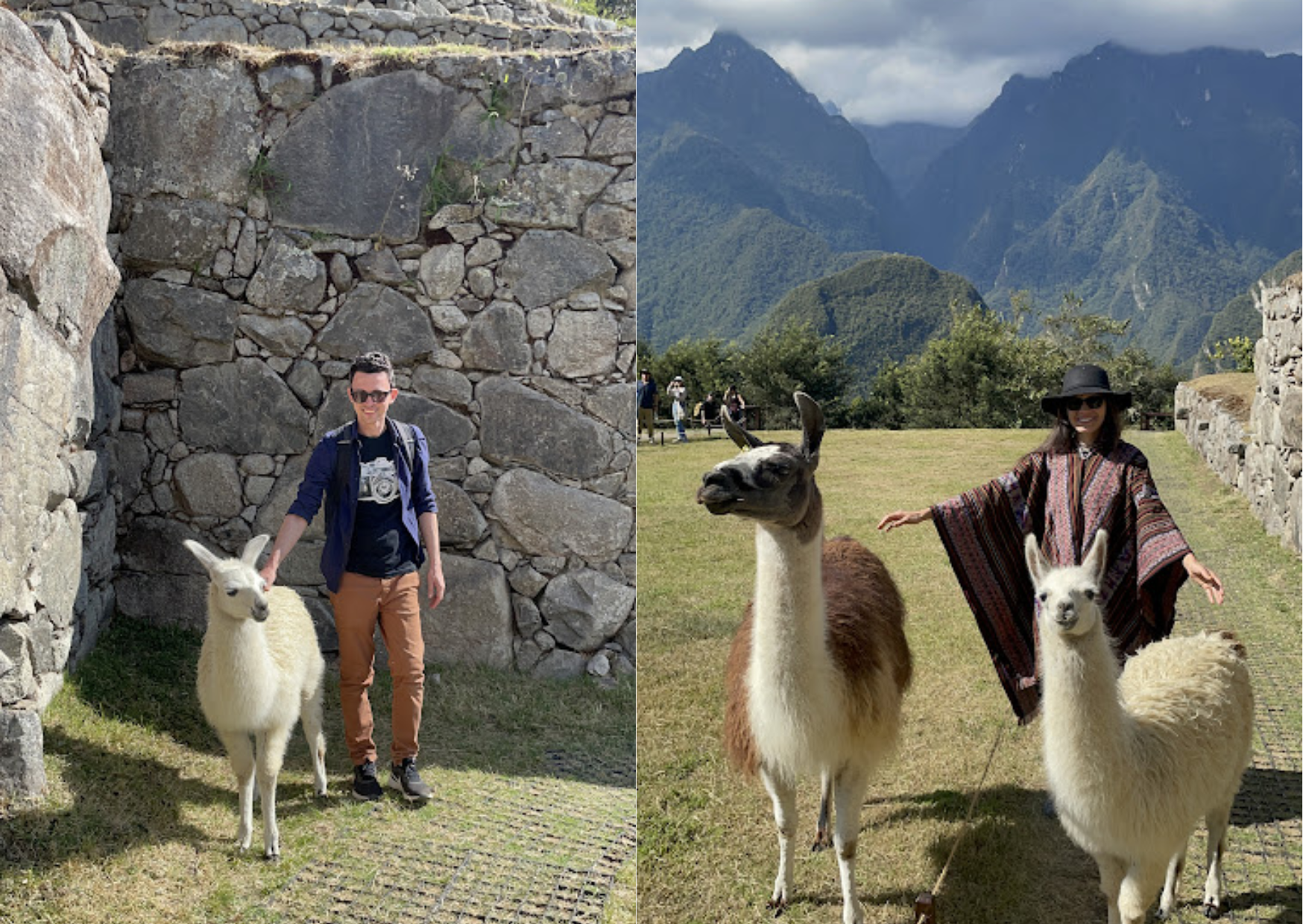 Roteiro em Cusco - Machu Picchu - Peru - Llamas